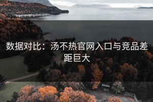 数据对比：汤不热官网入口与竞品差距巨大