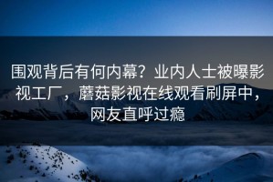 围观背后有何内幕？业内人士被曝影视工厂，蘑菇影视在线观看刷屏中，网友直呼过瘾