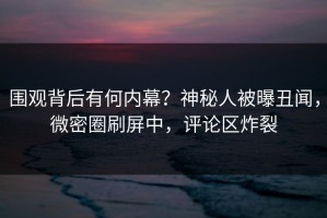 围观背后有何内幕？神秘人被曝丑闻，微密圈刷屏中，评论区炸裂