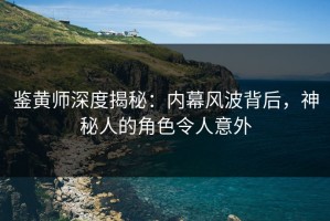 鉴黄师深度揭秘：内幕风波背后，神秘人的角色令人意外