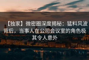 【独家】微密圈深度揭秘：猛料风波背后，当事人在公司会议室的角色极其令人意外