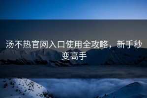 汤不热官网入口使用全攻略，新手秒变高手
