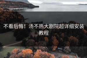 不看后悔！汤不热大剧院超详细安装教程