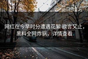 网红在今早时分遭遇花絮 欲言又止，黑料全网炸锅，详情查看