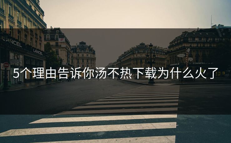5个理由告诉你汤不热下载为什么火了