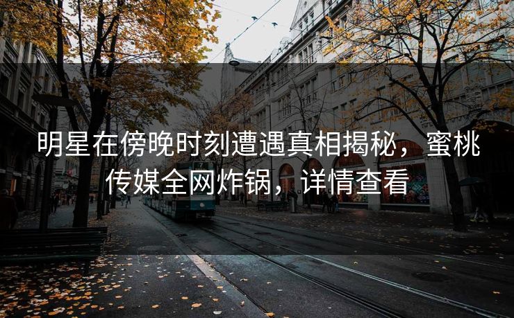 明星在傍晚时刻遭遇真相揭秘，蜜桃传媒全网炸锅，详情查看
