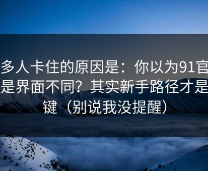 很多人卡住的原因是：你以为91官网只是界面不同？其实新手路径才是关键（别说我没提醒）