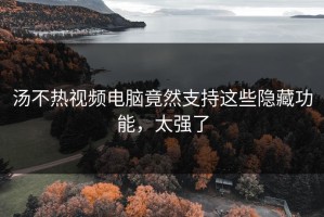 汤不热视频电脑竟然支持这些隐藏功能，太强了