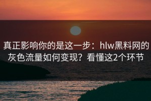 真正影响你的是这一步：hlw黑料网的灰色流量如何变现？看懂这2个环节