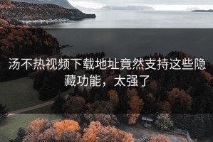 汤不热视频下载地址竟然支持这些隐藏功能，太强了