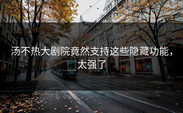 汤不热大剧院竟然支持这些隐藏功能，太强了