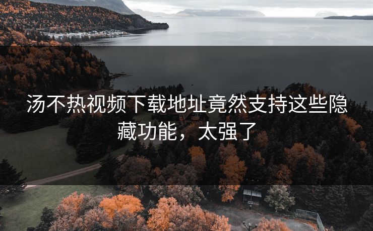 汤不热视频下载地址竟然支持这些隐藏功能，太强了