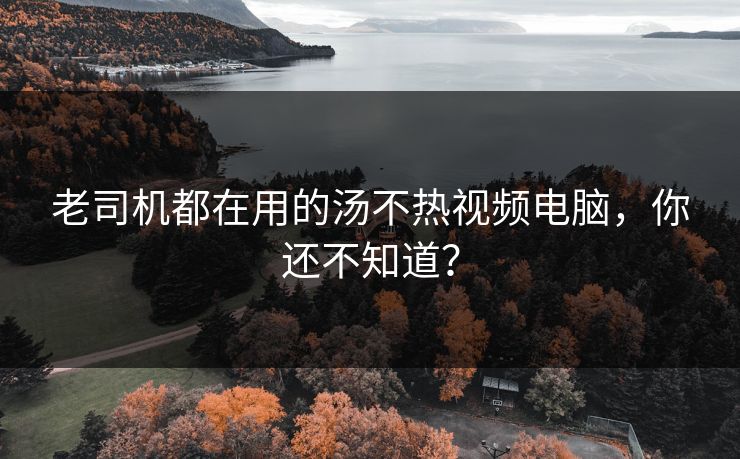 老司机都在用的汤不热视频电脑，你还不知道？