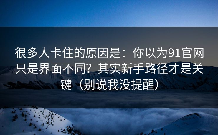 很多人卡住的原因是:你以为91官网只是界面不同?其实新手路径才是关键(别说我没提醒) 很多人卡住的原因是:你以为91官网只是界面不同?其实新手路径才是关键(别说我没提醒)
